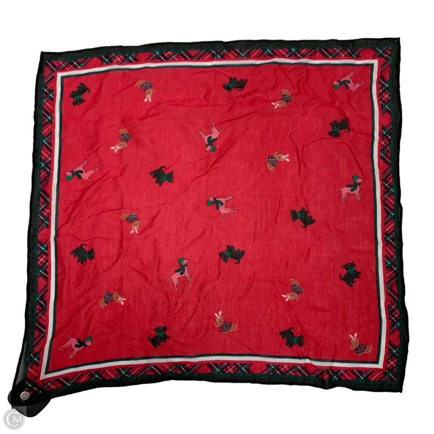 Scarf Square By Clothes Mentor