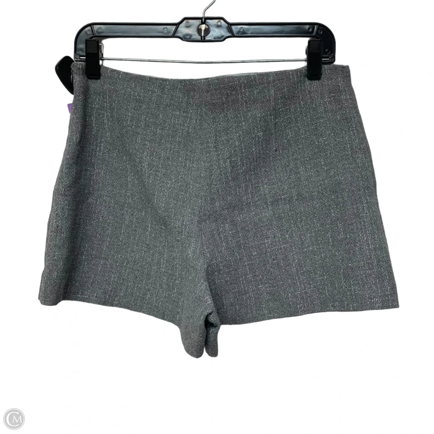 Skort By Zara In Silver, Size: S