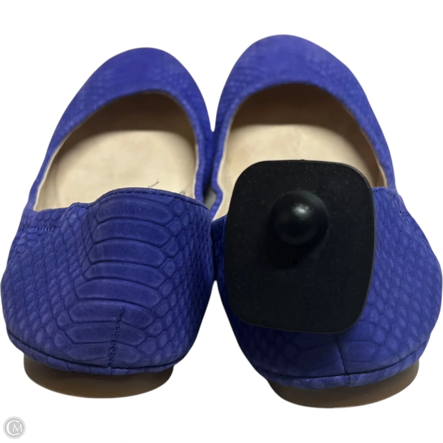 Shoes Flats By Vince Camuto In Blue, Size: 7.5