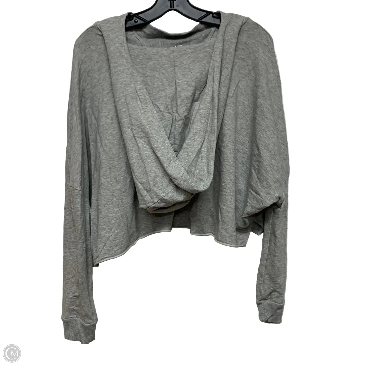 Sweatshirt Hoodie By Free People In Grey, Size: Xs