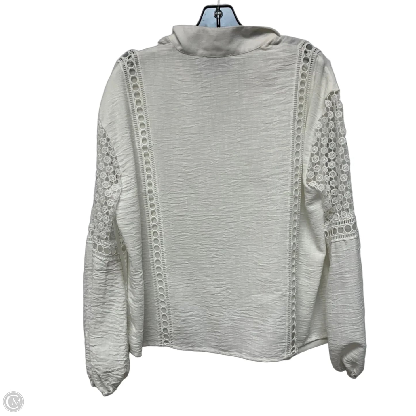 Top Long Sleeve Designer By Tuckernuck In Cream, Size: L