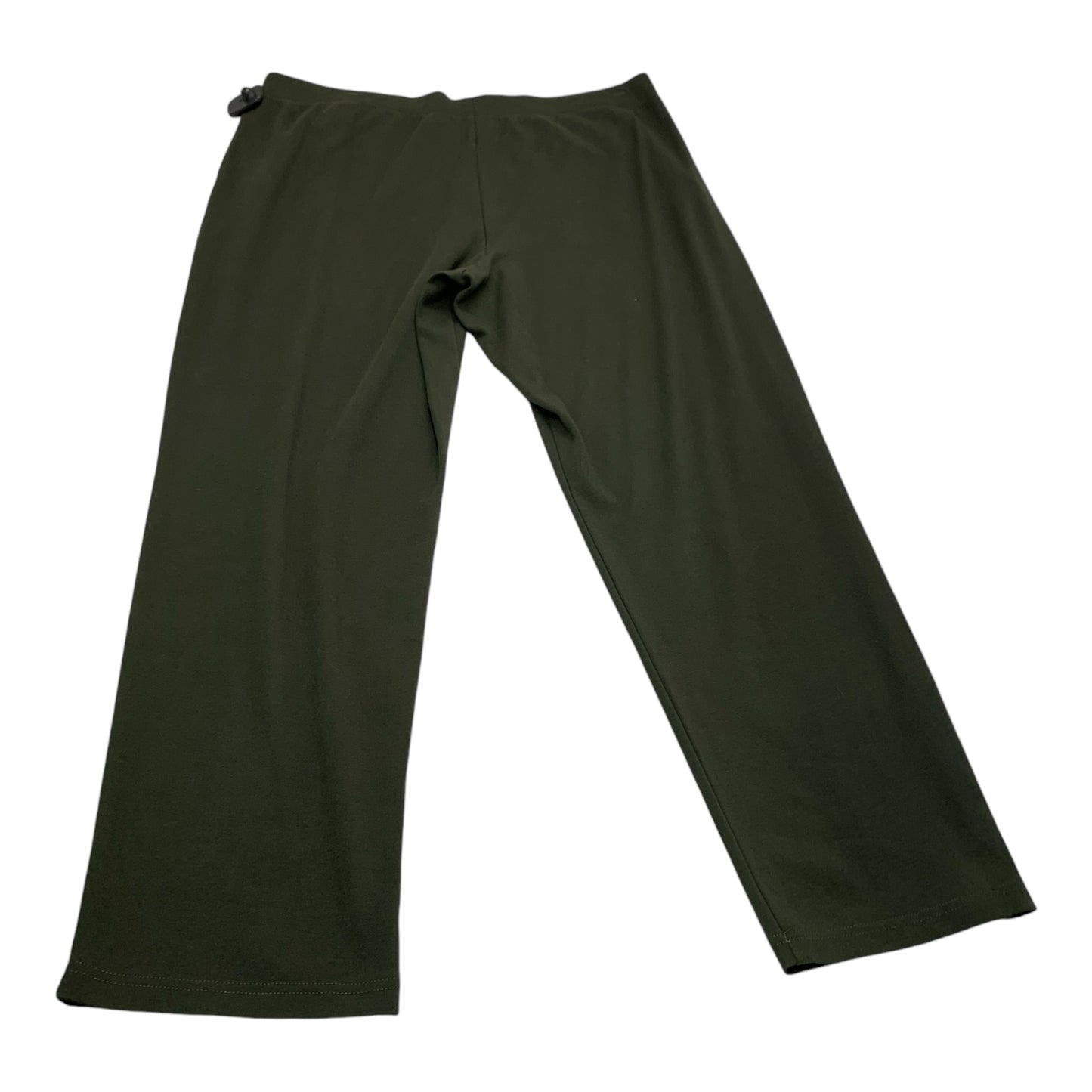 Pants Leggings By Appleseeds In Green, Size: Xl