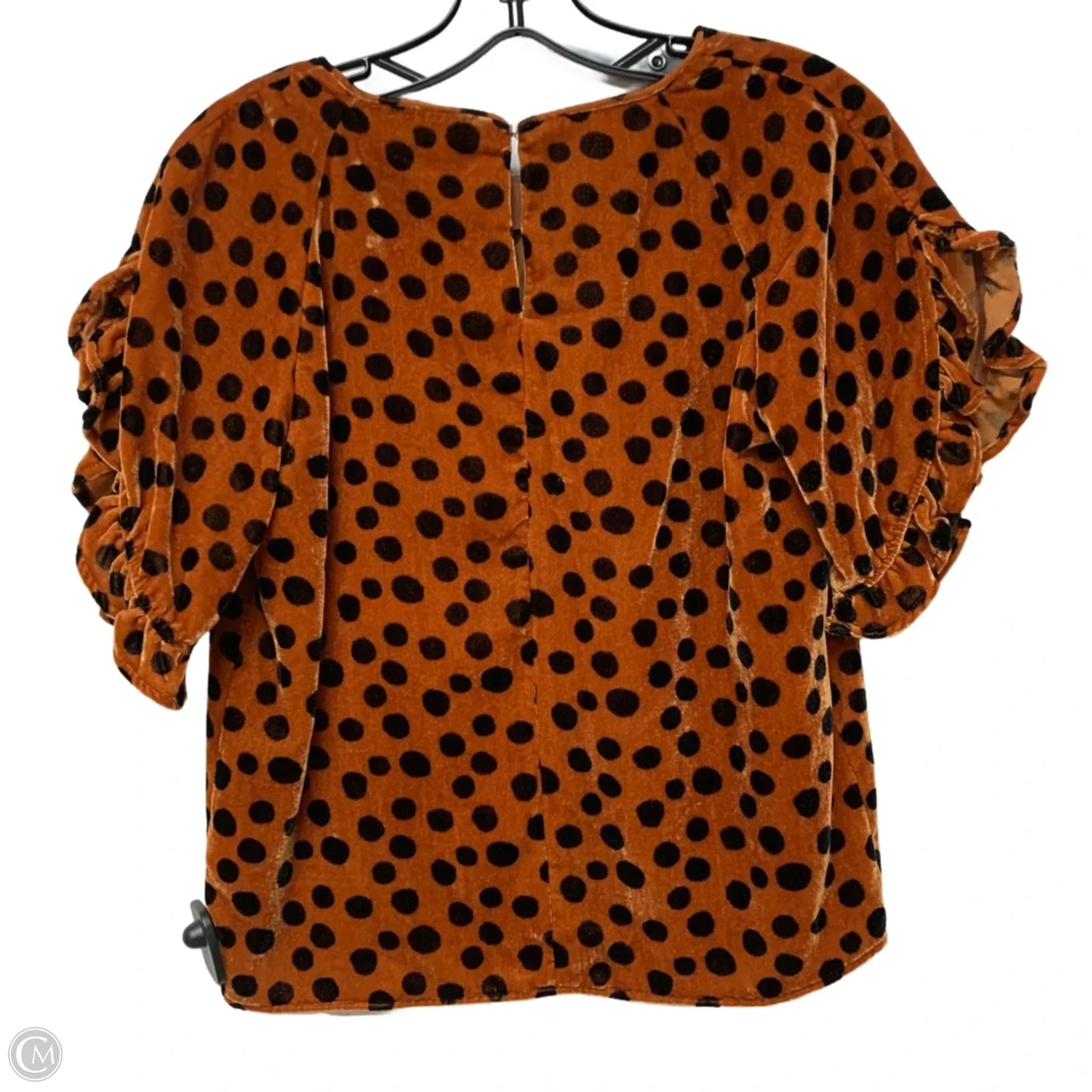 Top Short Sleeve By Madewell In Animal Print, Size: Xxs