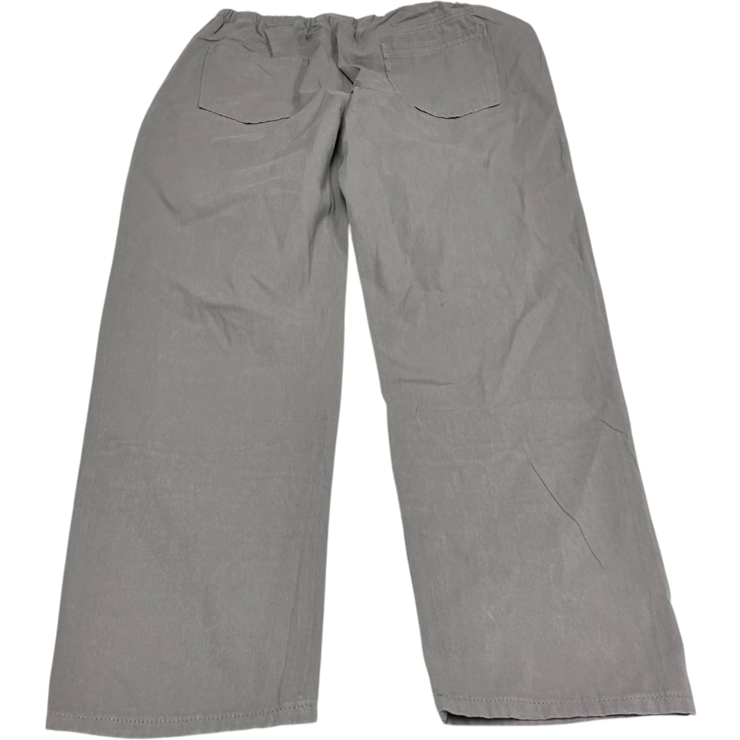 Pants Cargo & Utility By Clothes Mentor In Grey, Size: L