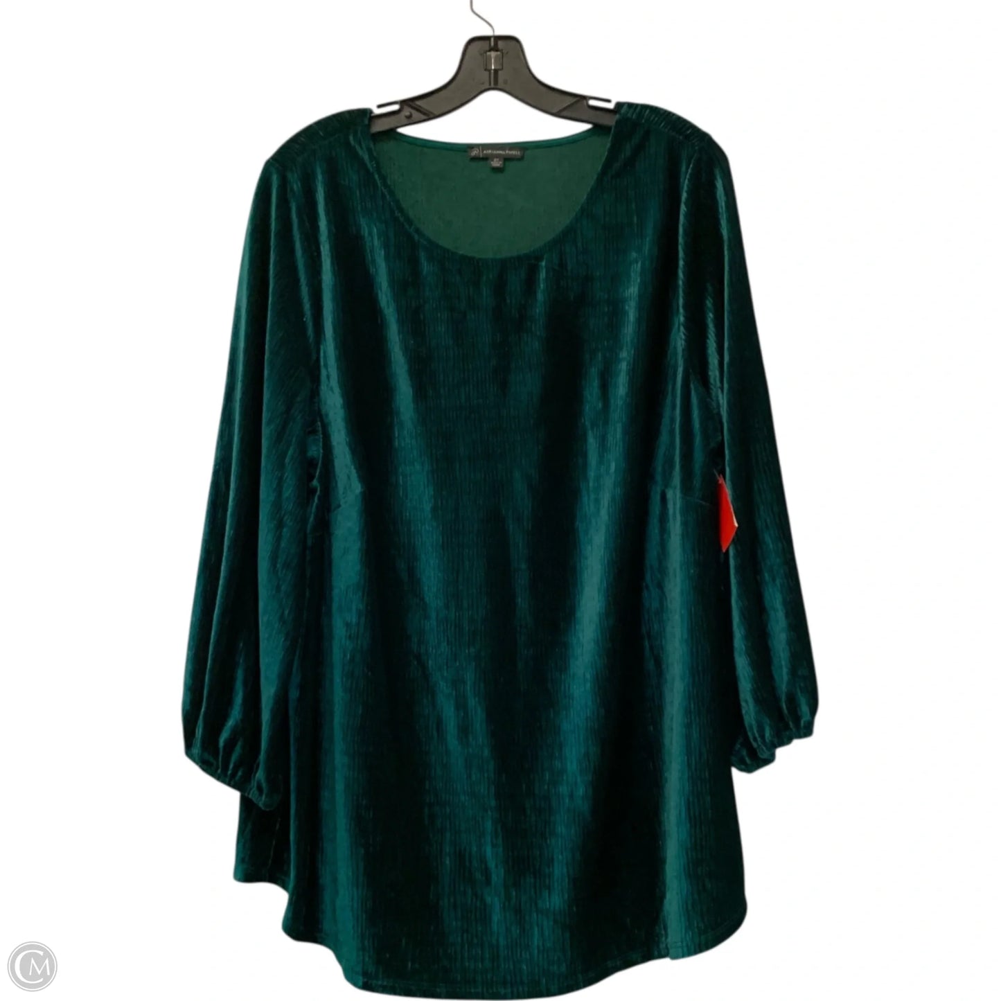 Top Long Sleeve By Adrianna Papell In Green, Size: 2x