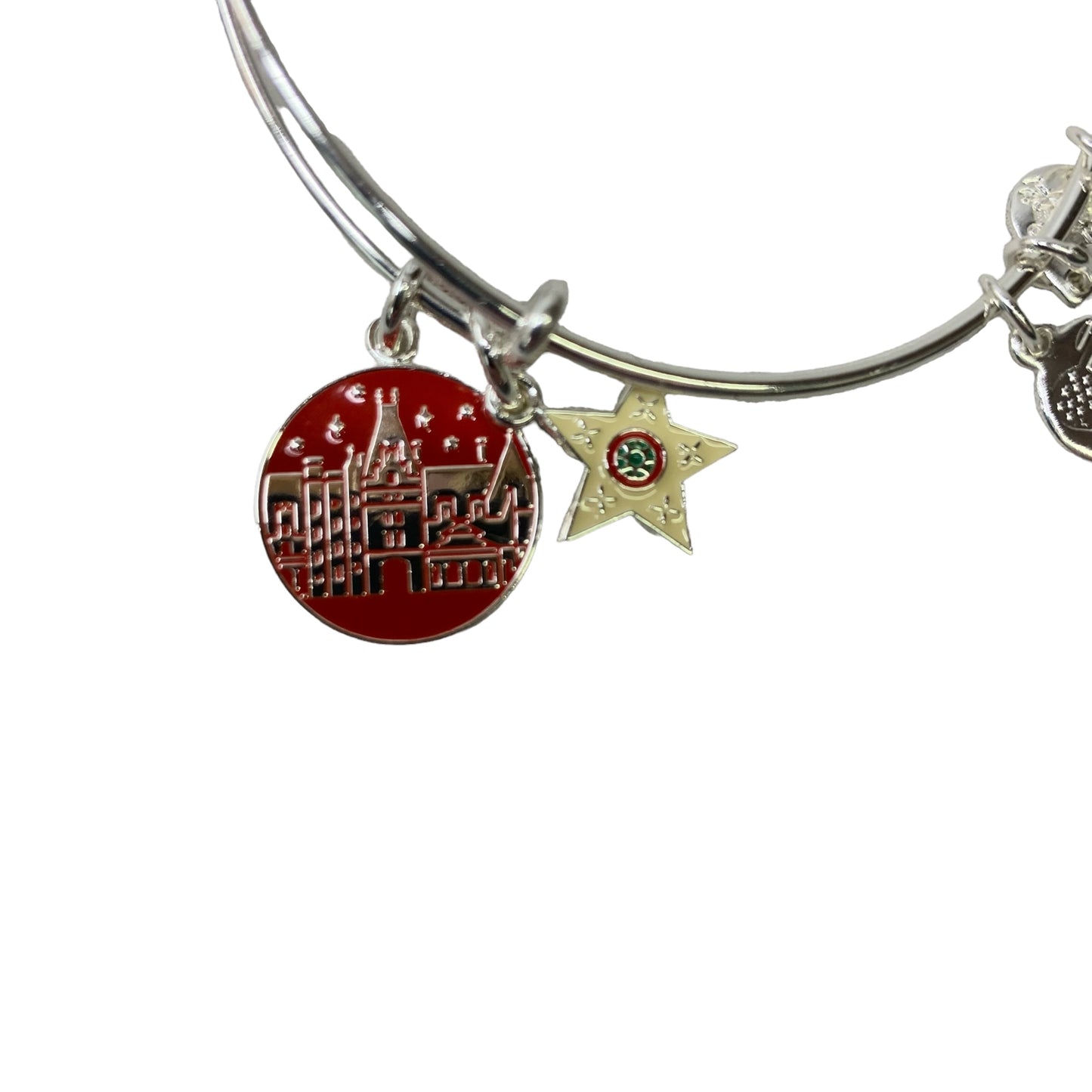 Bracelet Charm By Alex And Ani