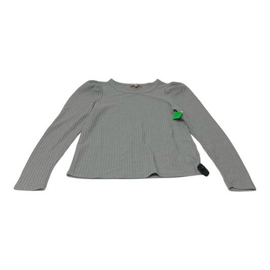 Top Long Sleeve By Philosophy In Grey, Size: M