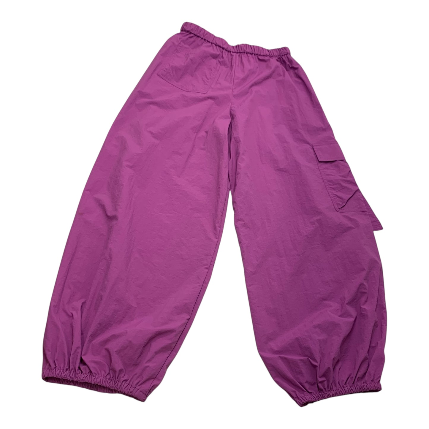 Pants Cargo & Utility By Urban Outfitters In Purple, Size: M