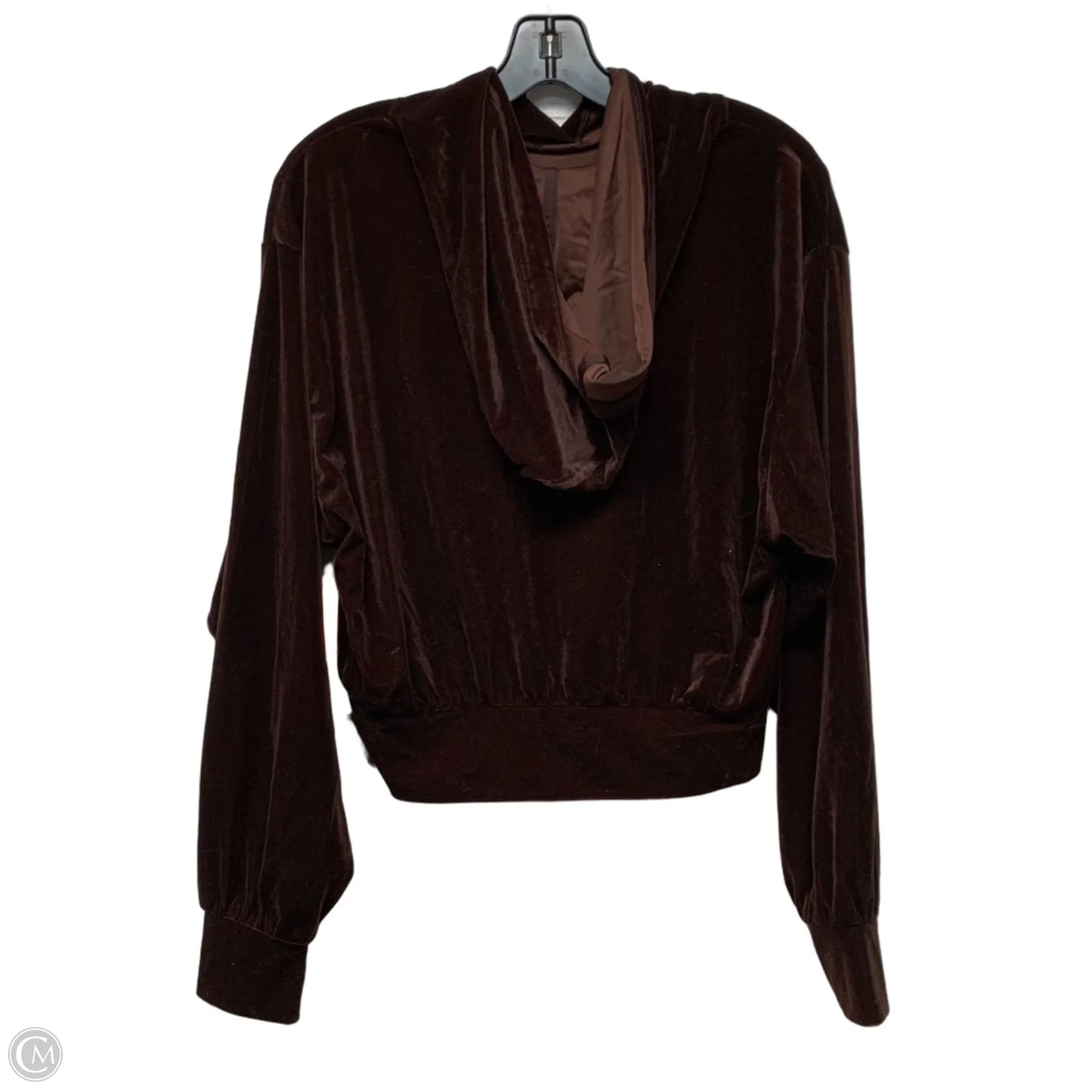 Sweatshirt Hoodie By Express In Brown, Size: M