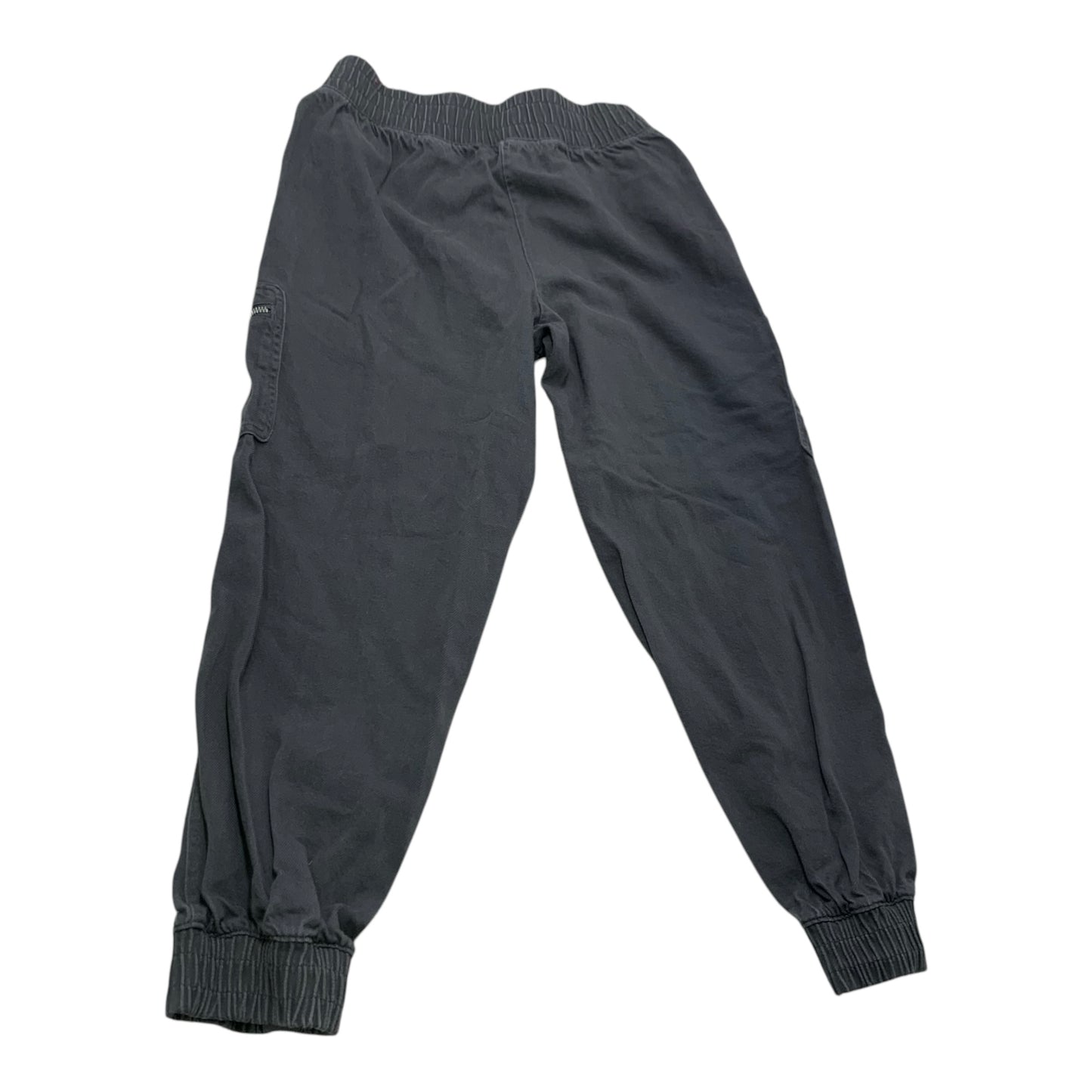 Pants Cargo & Utility By Dsg Outerwear In Grey, Size: Xs