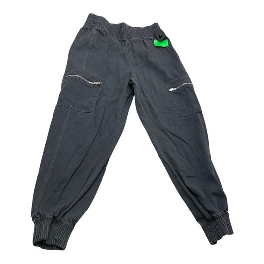 Pants Cargo & Utility By Dsg Outerwear In Grey, Size: Xs