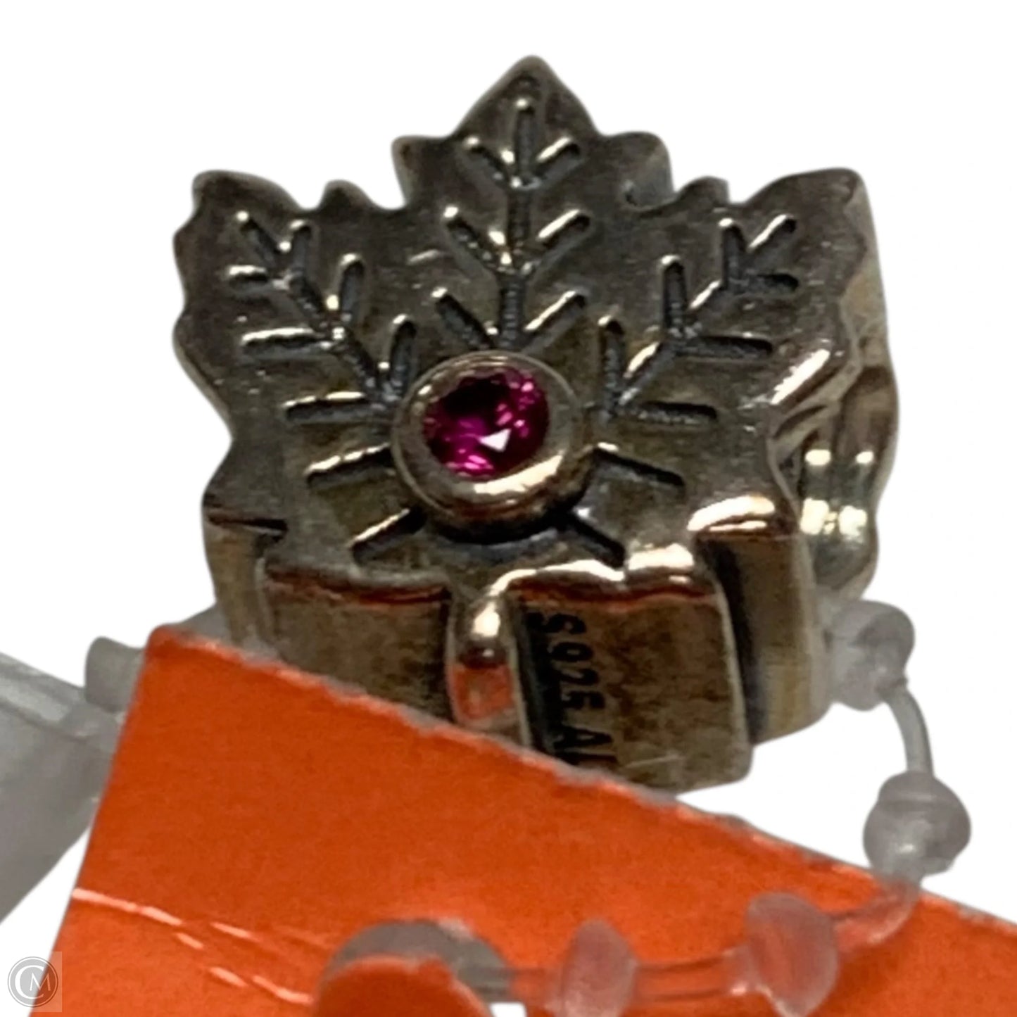 Jewelry Charm By Pandora