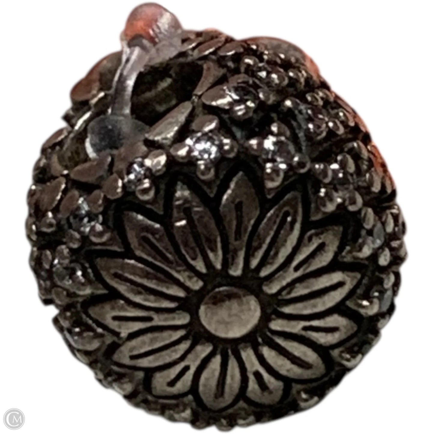 Jewelry Charm By Pandora