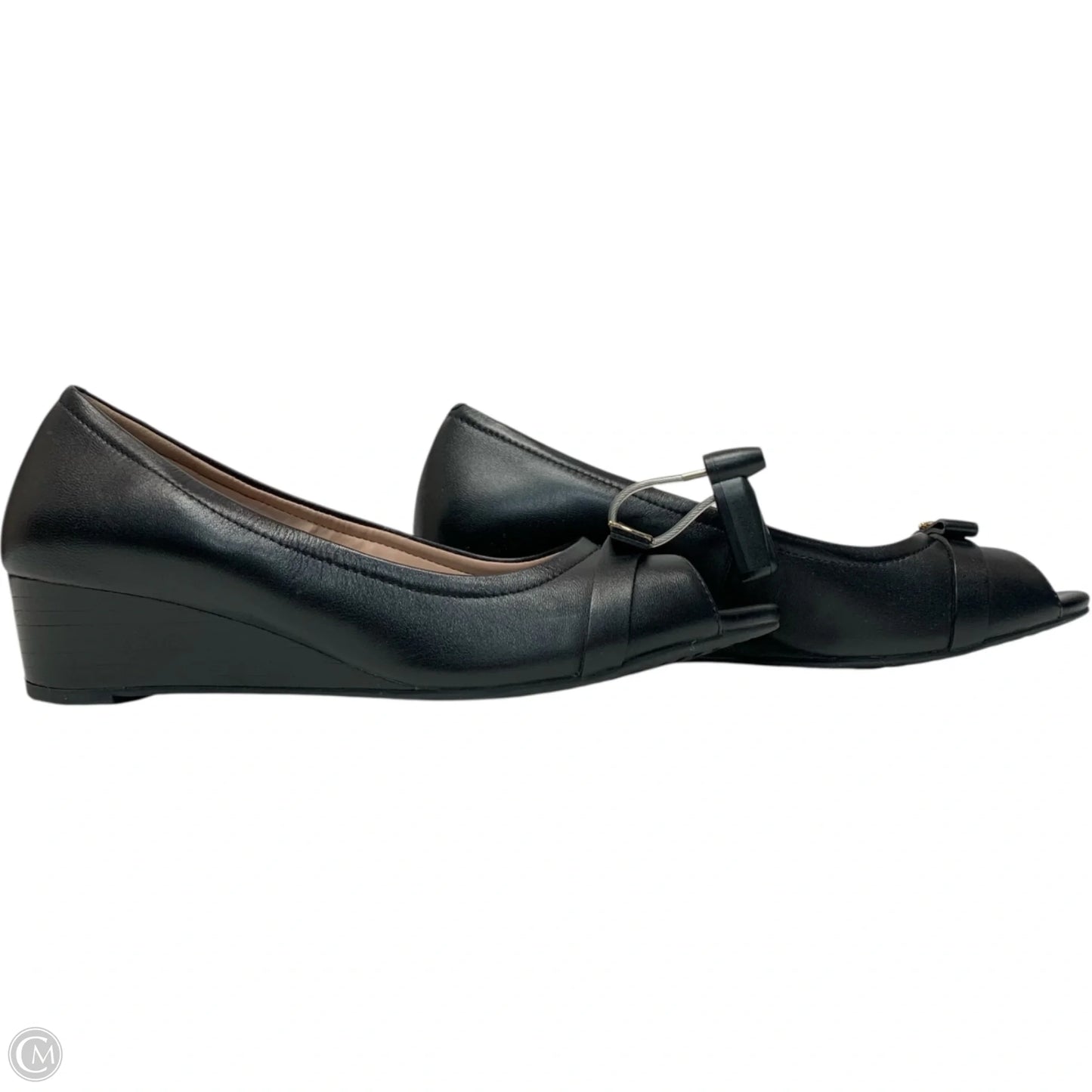 Shoes Heels Wedge By Cole-haan In Black, Size: 8