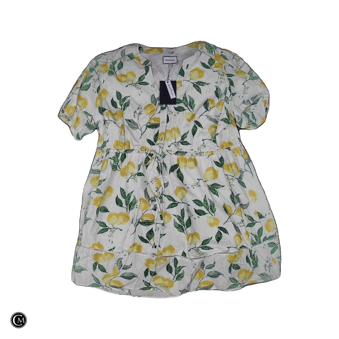 Dress Casual Short By Clothes Mentor In Green & Yellow, Size: 3x image 1