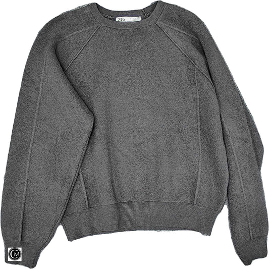 Sweatshirt Crewneck By Zara In Grey, Size: M image 1